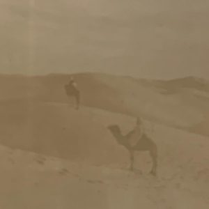 Alexandre Bougault - North African Desert