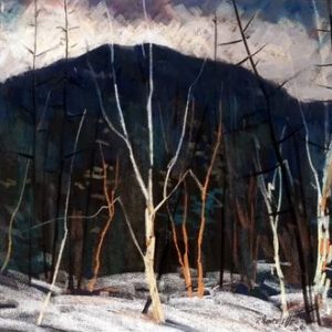 Mountain and Woods - Romeo Vincellet