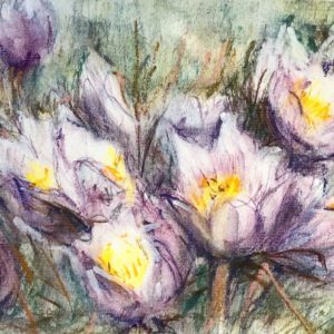 Prairie Flowers - Cathy Sinclair
