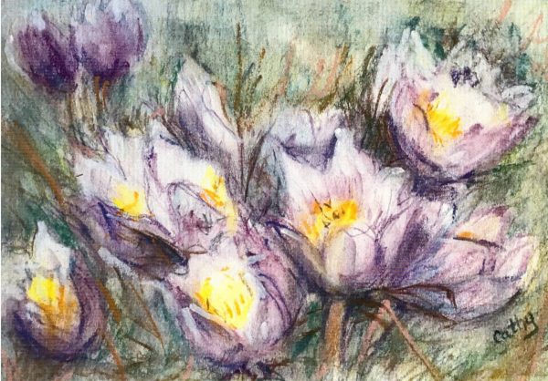 Prairie Flowers - Cathy Sinclair