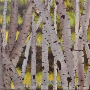 Birch Trees - Vincent Di Paolo