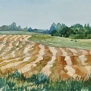 Lambeth Ontario - Jackie Bournes