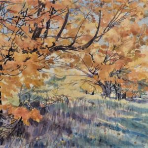 Landscape - Palmer