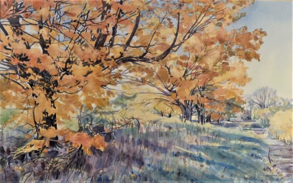 Landscape - Palmer