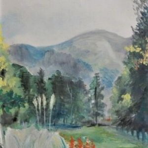 Paysage de Montagne - Pryroust