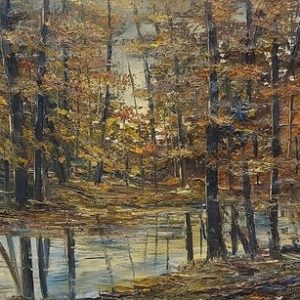 Autumn Forest - American School