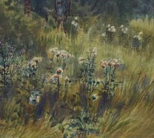 Flowers - Thomas Mower Martin