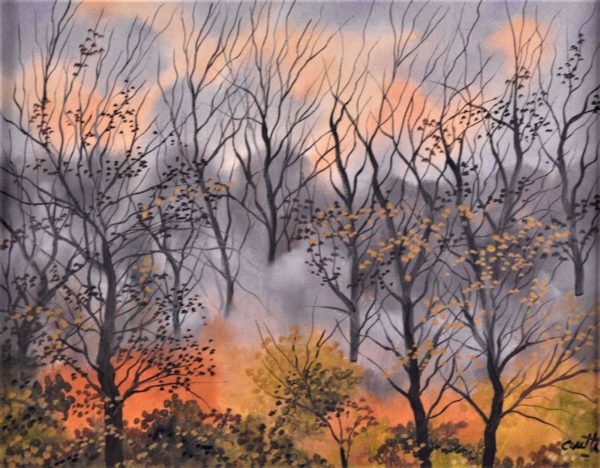 Forêt - Claude Carette