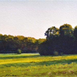 Landscape - Thomas McNickle