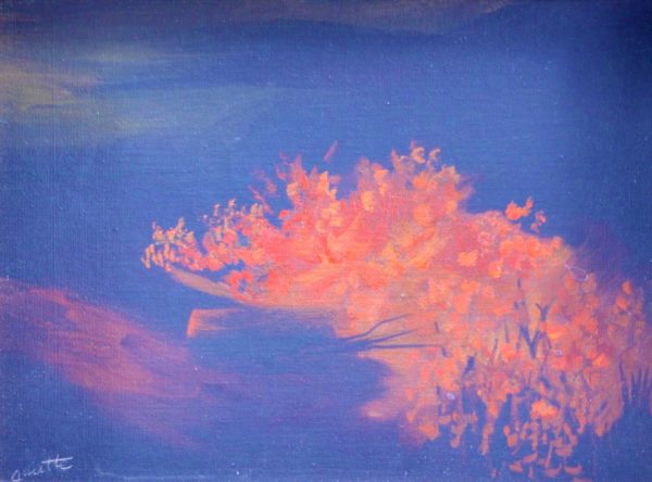 Paysage - Claude Carette