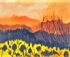 Paysage - Claude Carette