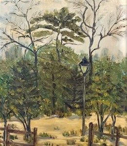 Scrubby Pines Cape Cod - Bernadette Aubin