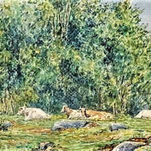 Cattle Lying in Field - Stanley B. Wilson