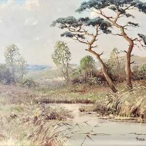 Countryside - Peter Cox