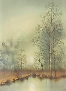 Landscape - Pires