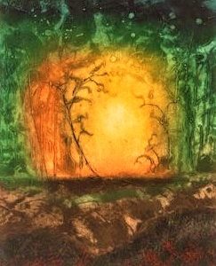 Lumière de la Forêt - Ann McCall