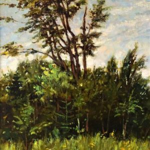 Bois de St-Calixte - Marcel Favreau