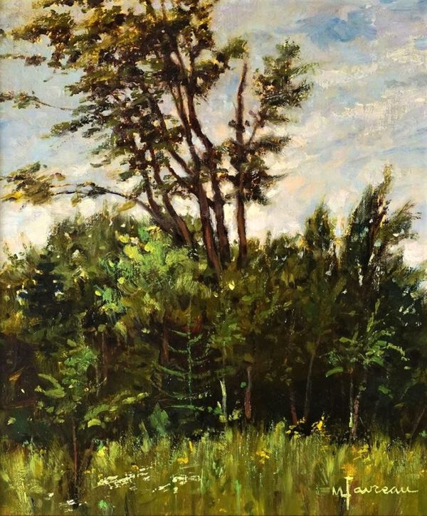 Bois de St-Calixte - Marcel Favreau