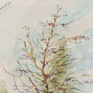 Tree in Field – Raul Viera