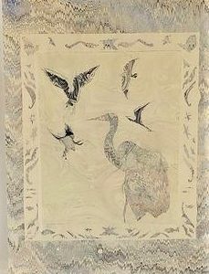 Des Oiseaux - Lucie Lapierre
