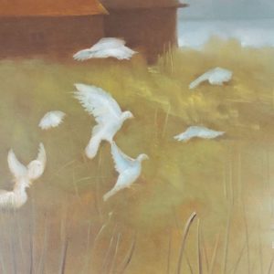 Des Oiseaux - Jean Viens