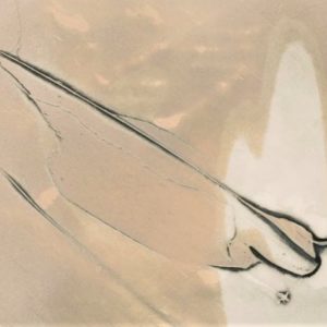 Kontin - Richard Lacroix