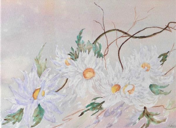 Fleurs I - Louise