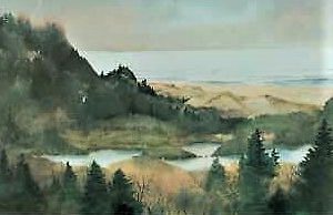 Alaskan Mountainside - Nancy Taylor-Stonington