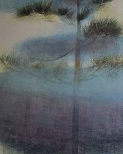 Life Cycle of Pine - Philip Aziz