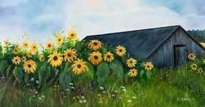 Tournesols à la Grange - C. Savoie