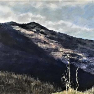 After The Fire, Kootenay, B.C. - Rita MacKenzie