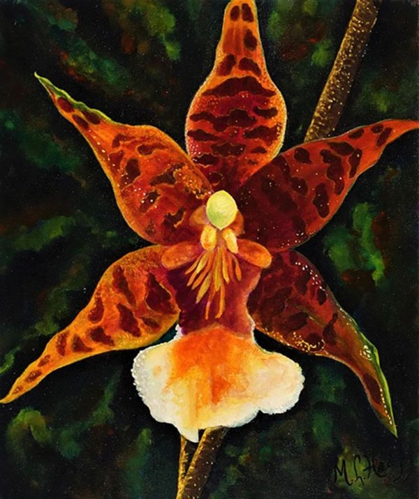 Etoile - Micheline Lamarre-Hadjis