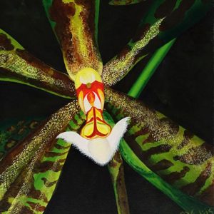 Léopard - Micheline Lamarre-Hadjis