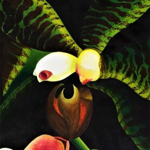 Zèbre - Micheline Lamarre-Hadjis