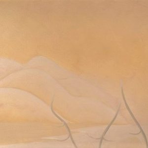 Sur un Vent Tout en Douceur - Roland Pichet