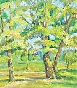 Les Arbes - Rachel Marsolais
