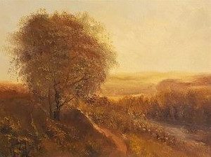 Paysage - Georges Boka