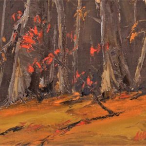 Sous-bois, Charlevoix - Jean-Marc Blier