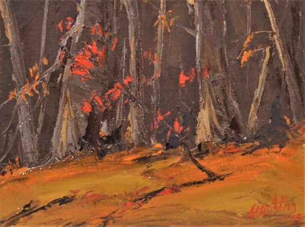 Sous-bois, Charlevoix - Jean-Marc Blier