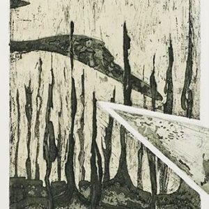 Le Brûlé - Lise Drolet Frigon