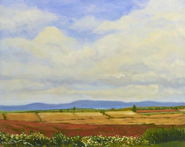 Prairies - Liliane Fournier