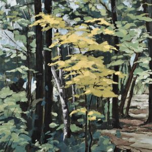 Woods - Tom Kerwin