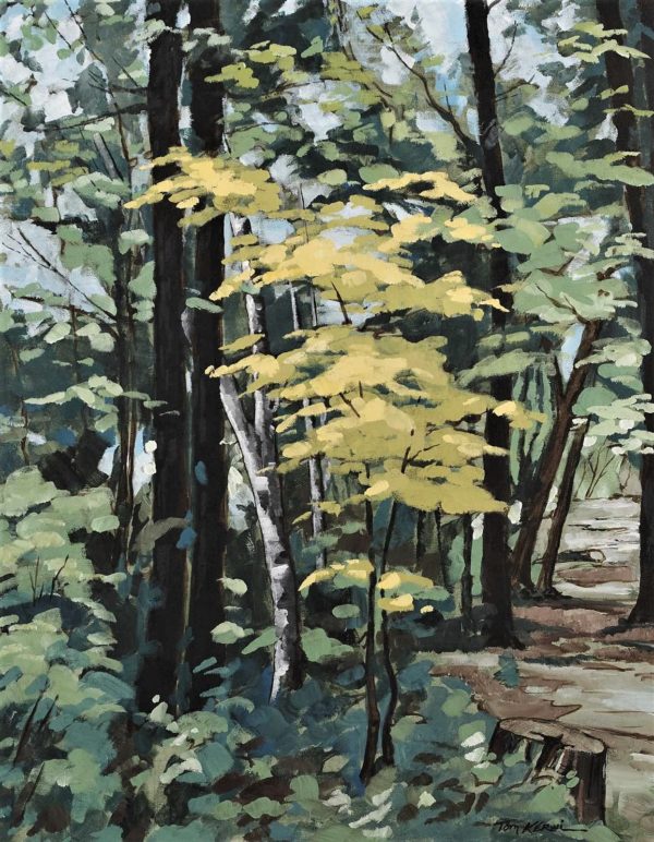 Woods - Tom Kerwin