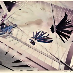 Trajectoires - Joelle Morosoli