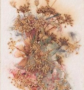 Downy Serviceberry - Kathryn Reith Blake