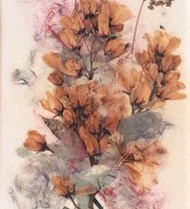Queen Anne's Lace - Kathryn Reith Blake