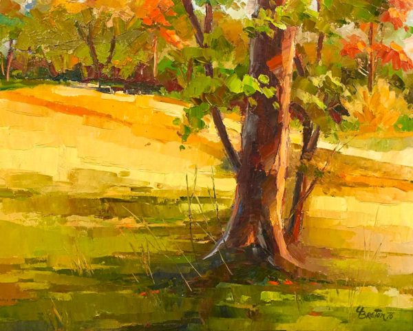 Couleurs d'Automne - Yvon Breton