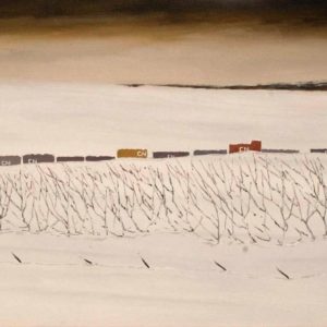 Derriere les Aulnages - Roland Pichet