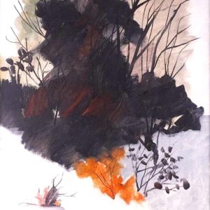 Forêt Noire - Claude Carette