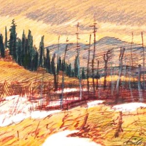 Landscape - Mario Mauro